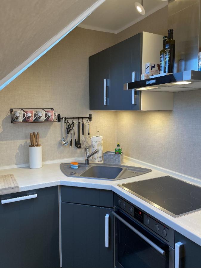 Luxus Ferienwohnung Schoene Aussicht ゴスラー エクステリア 写真