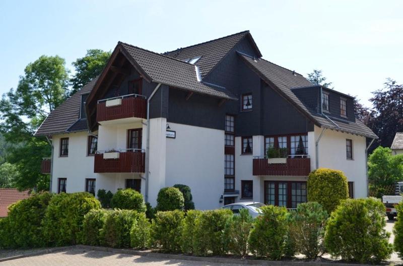 Luxus Ferienwohnung Schoene Aussicht ゴスラー エクステリア 写真